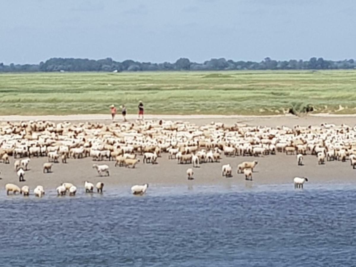 Vila La Valerienne Saint-Valéry-sur-Somme Exteriér fotografie